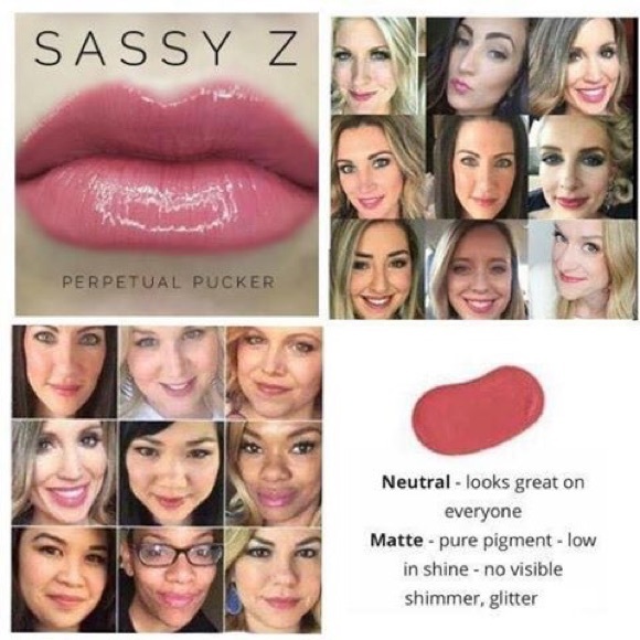 LipSense Other - Lipsense sassy z LipSense Other - Lipsense sassy z